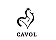 LDC Sablé - Établissement CAVOL - site 105